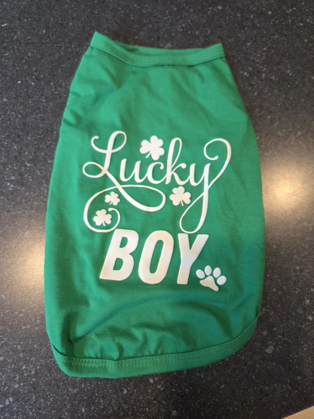 Lot Of 4 Small Dog Clothing